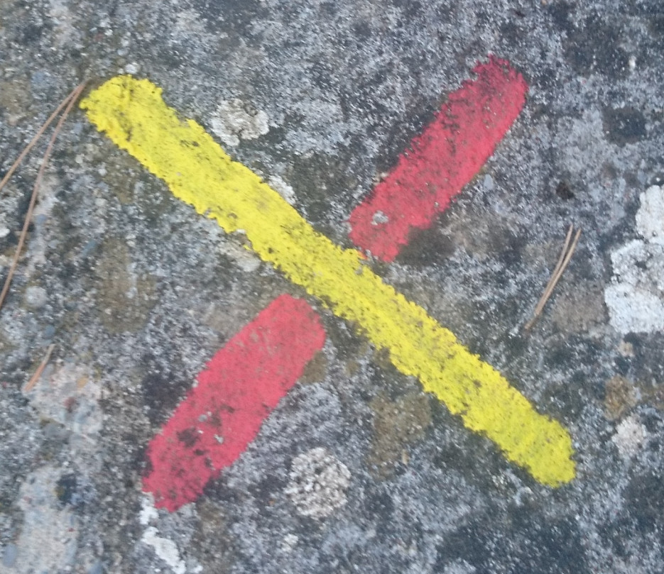 GRdp - Bad direction